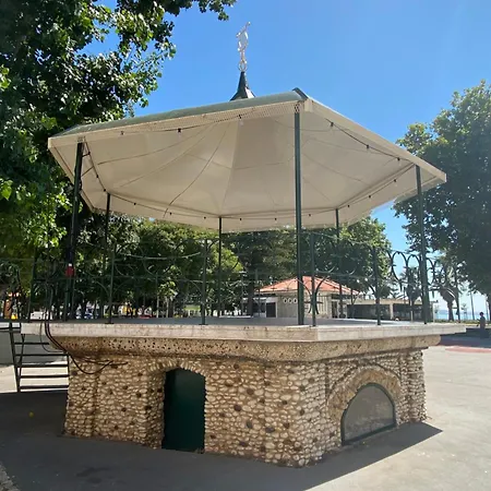 Apartament Com Patio Em Frente
